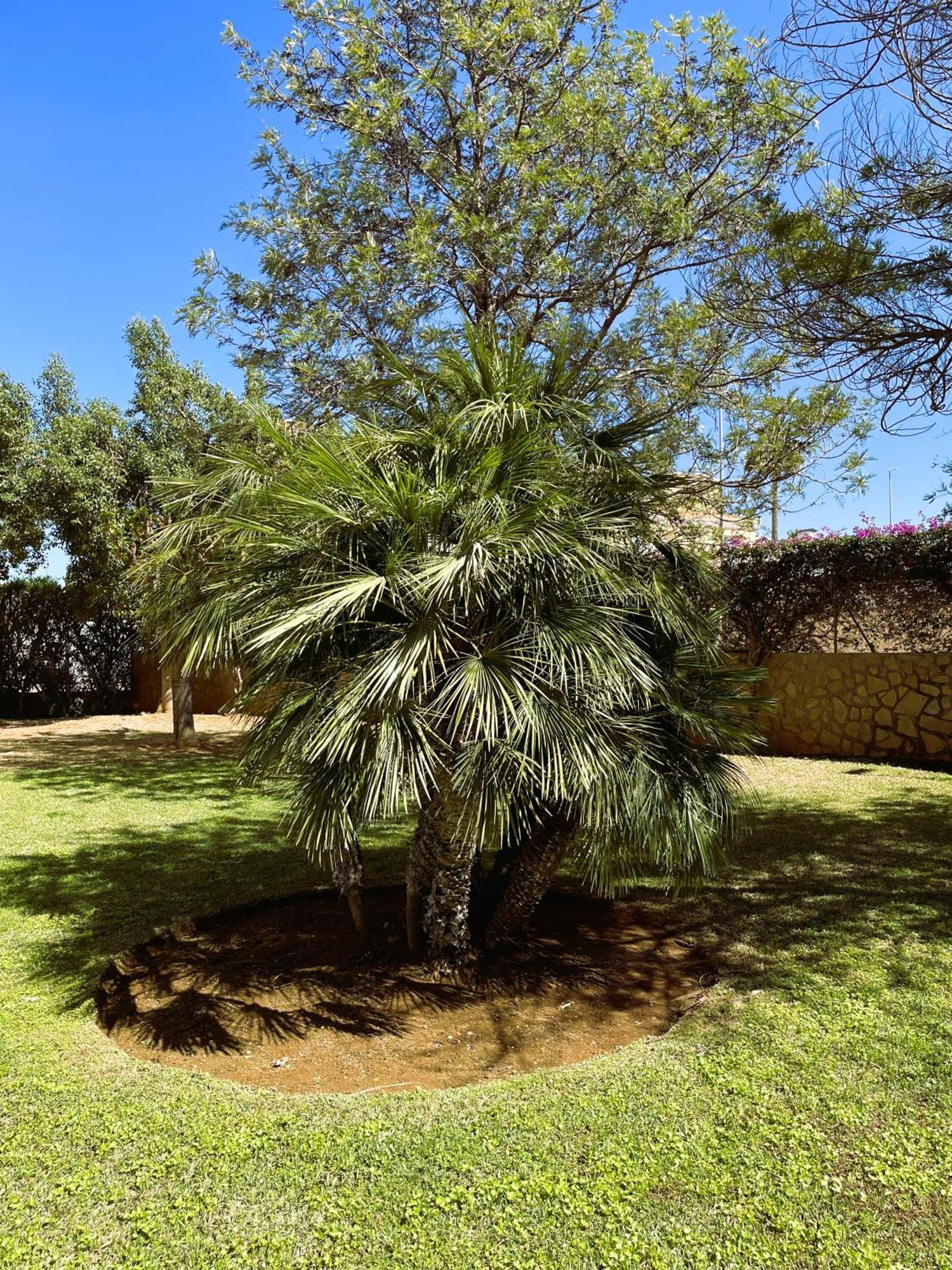 El Casa Kama Căn hộ Denia